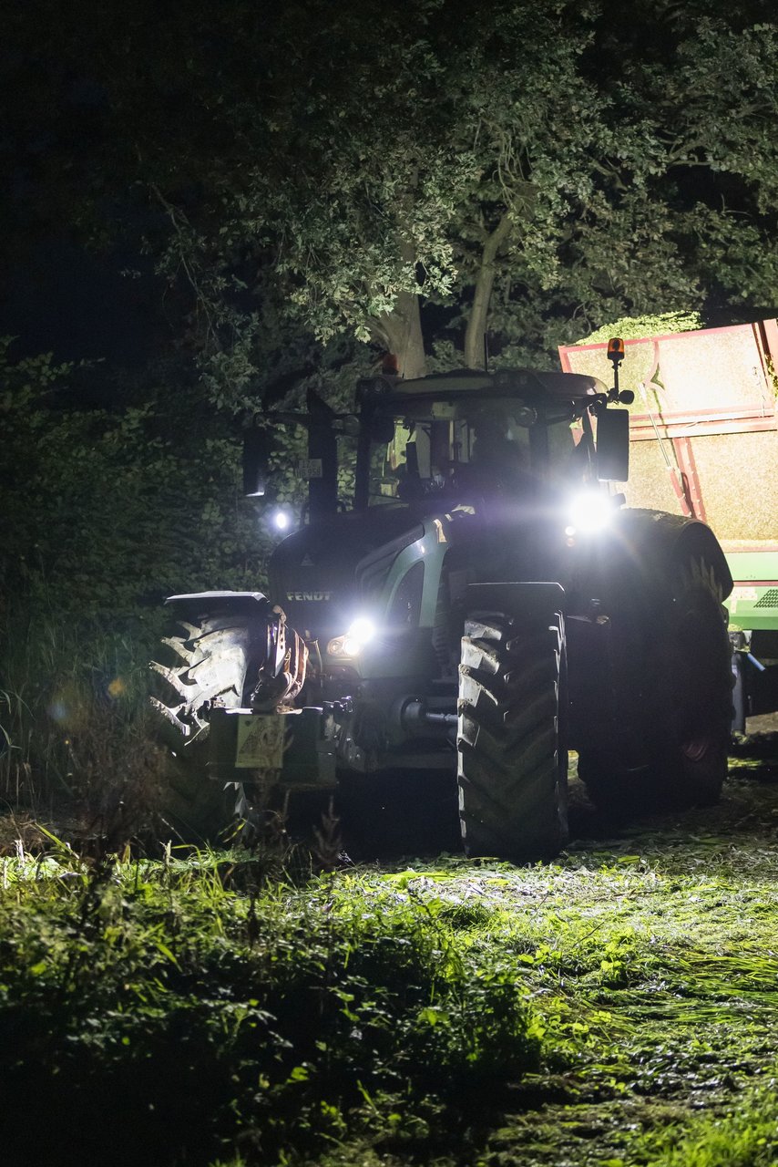 Bild 18 - Maisernte